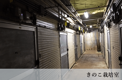 自動音声報知設備02